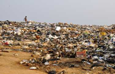 西非的多氯联苯污染可能来自“非法倾倒”