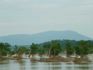 淡水生物多样性威胁湄公河大坝项目