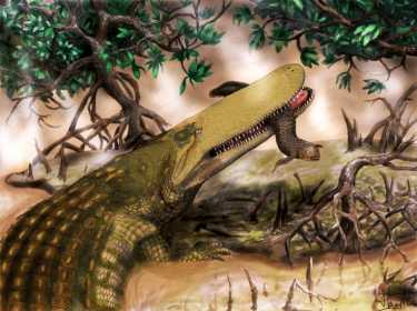 最古老的鳄鱼发现,Aegisuchus witmeri