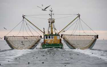 解决副渔获物对海洋生物的危害