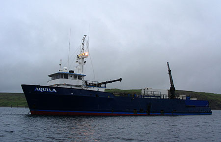 M.V.凯利加尔西亚的Aquila