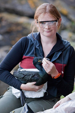 欧伦博士拿着成年男性粗毛，最近装有GPS跟踪器，作为F.A.M.E项目的一部分。艾莉戴着眼睛保护，因为这只鸟可能会为她的眼睛而来，鉴于机会！