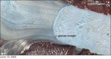 这张卫星图像显示了格陵兰岛的赫尔海姆冰川与大海的交汇处。冰川在左边。图片右侧狭窄的峡湾中，大小不一的冰山堆积在一起。裸露的地面呈棕色或黄褐色，而植被呈红色。美国宇航局Terra卫星上的先进星载热发射和反射辐射计(ASTER)于2005年6月拍摄了这张照片