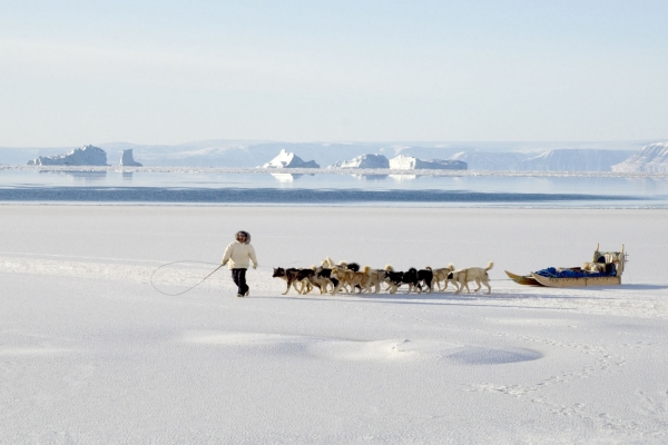 格陵兰，赫伯特岛，因纽特猎犬队