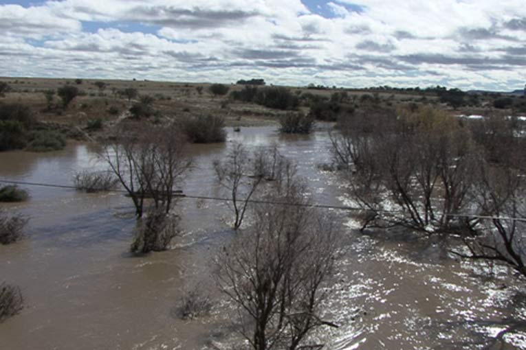 Bloemfontein的河流被淹没，水坝溢出