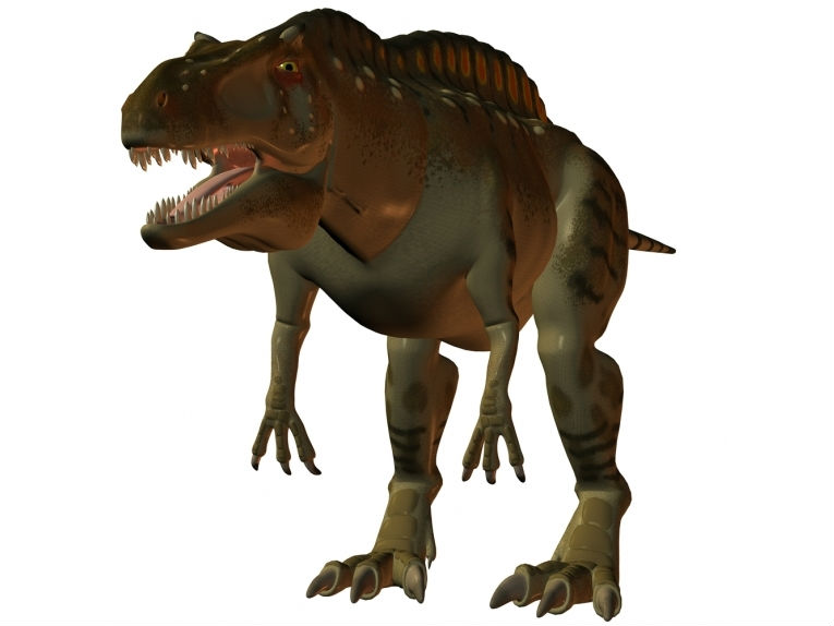 发现在阿肯色州Acrocanthosaurus atokensis恐龙足迹”title=