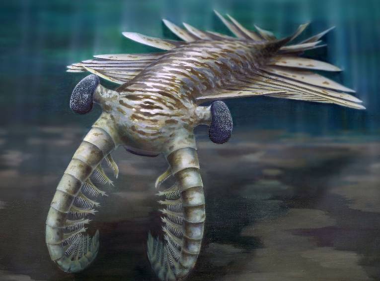 眼睛化石证明了古代海洋捕食者有很强的视力