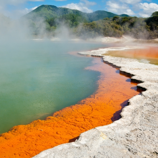 嗜热细菌生活在含硫的火山温泉中，例如Wai-O-Tapu的香槟池