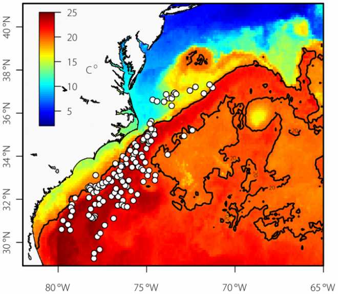 这幅图说明了幼年大西洋蓝鳍金枪鱼在冬季的空间分散以及墨西哥湾流作为冬季栖息地的重要性
