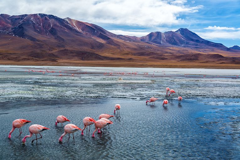 玻利维亚干燥随着湖泊的消失。
