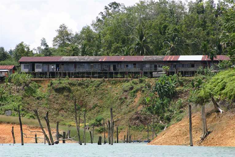 婆罗洲长屋社区起诉木材公司和政府