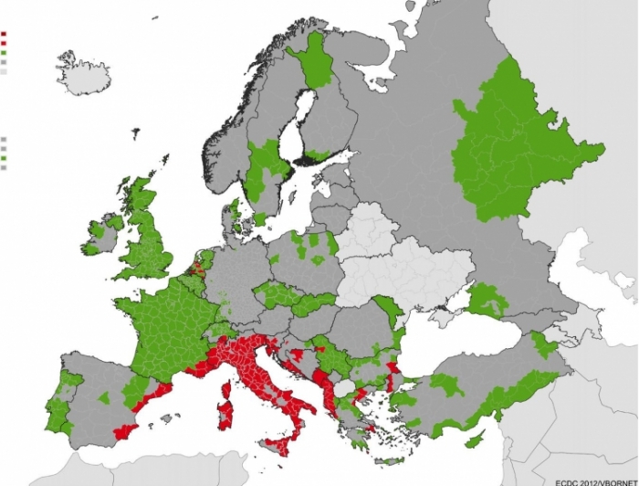 白纹伊蚊在欧洲的分布