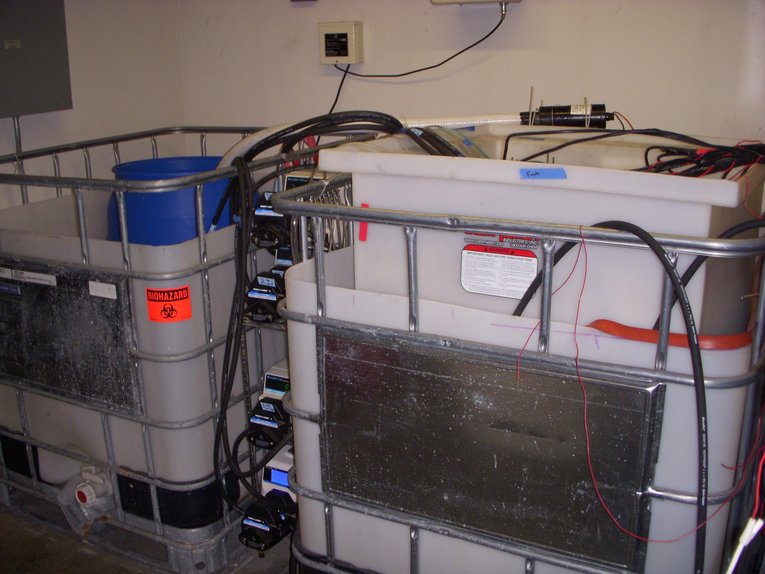 微生物燃料电池 - 环保污水处理 - 校正