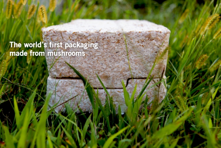 生态蘑菇:可降解的蘑菇包装
