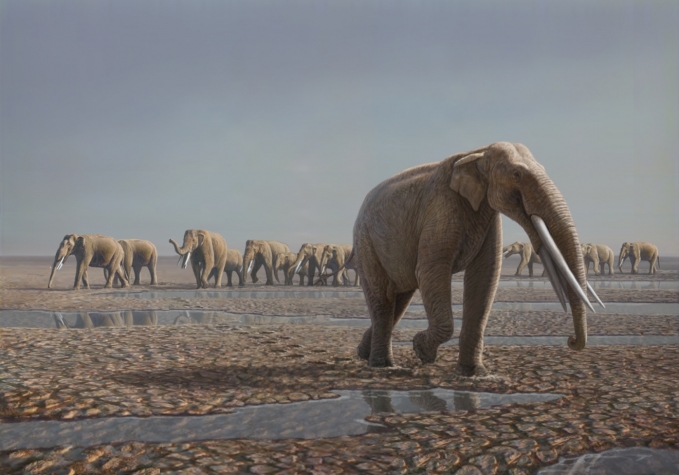 从化石证据中重建的灭绝的替代群牛群
