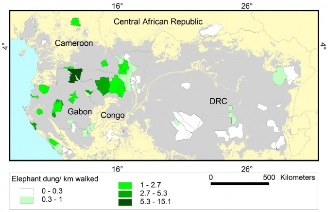 该论文的这张地图说明了中非使用的80个地点。在此图中，森林为灰色。