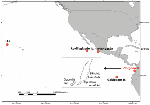 点代表识别出单倍型的位置，不包括澳大利亚假设的鲁霍利。乌龟在岛上的La Azufrada和Playa Blanca的珊瑚礁中捕获了珊瑚礁