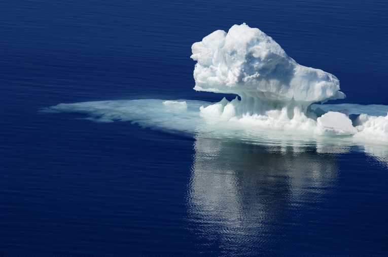 人类活动威胁着南极独特的海洋生态系统
