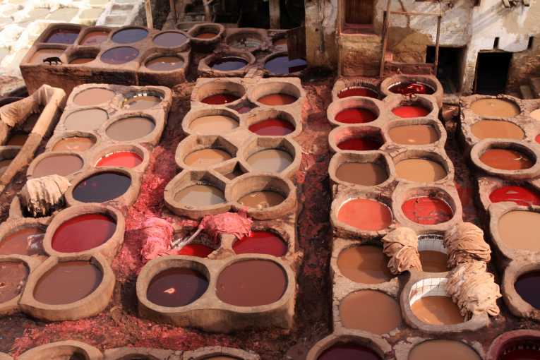印度的皮革行业被告知要清理其行为