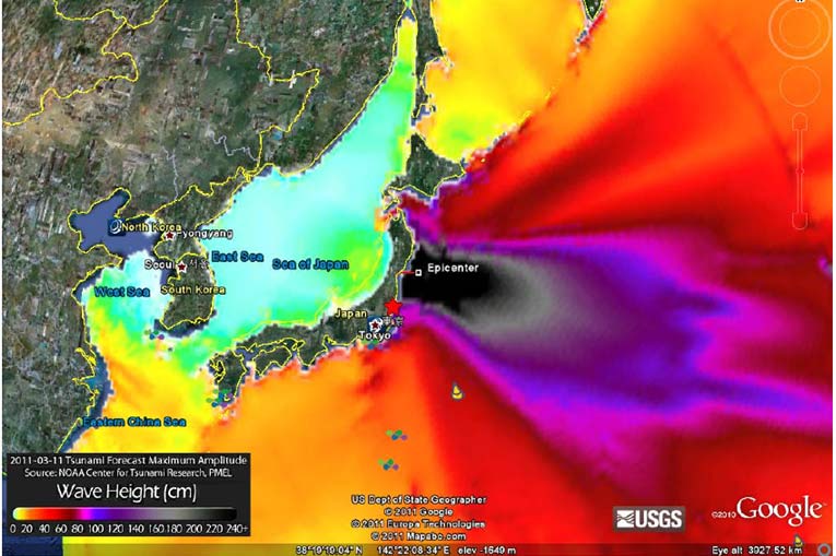 japan earthquake wave height in cm
