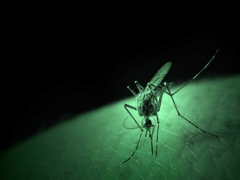 新疫苗可能会改善疟疾预防