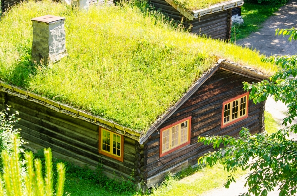 这是一个绿色的房子，但非常传统，建在挪威草房的传统
