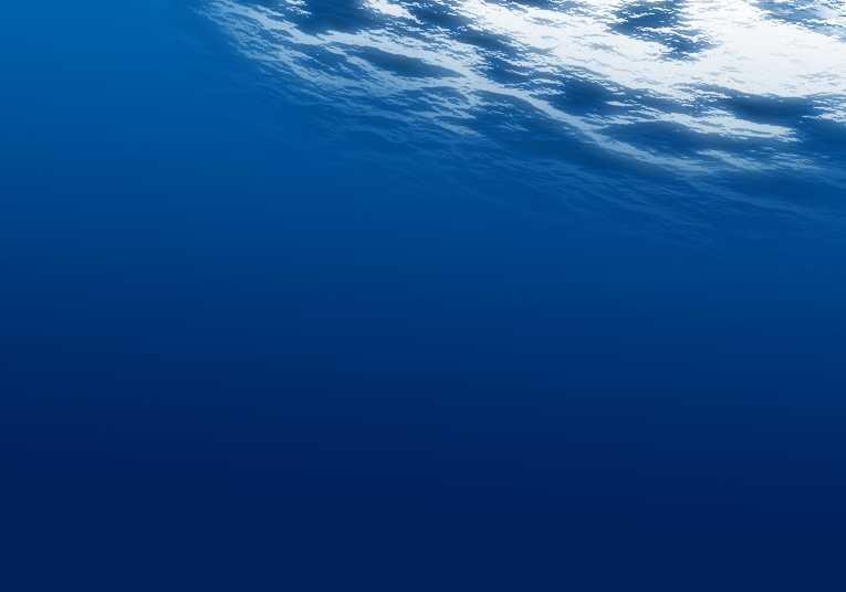 海洋浮游生物在碳隔离中的作用