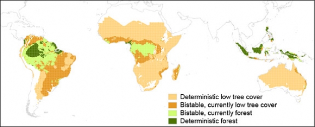 热带非洲和南美洲的热带草原和森林的稳定性面临的风险最大