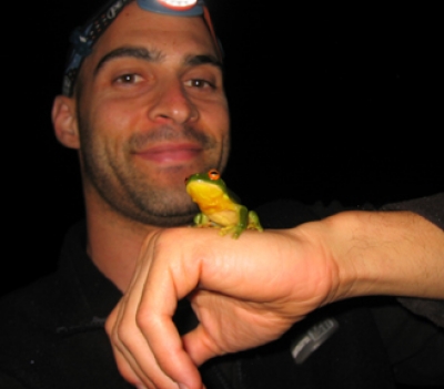 凯里·克里格（Kerry Kriger）博士拯救了一只青蛙，如果您真的遵循青蛙，您将被称为澳大利亚红眼睛的青蛙