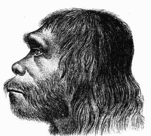 Neanderthals灭绝的原因不近在咫尺