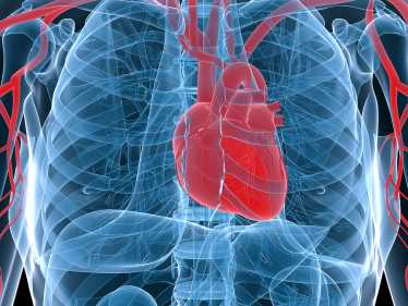 关节炎患者患有较高的心脏病风险