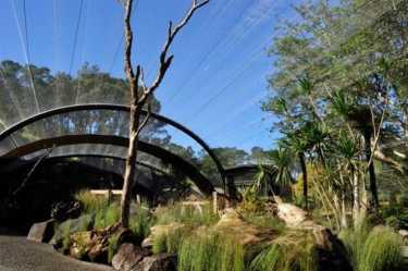 奥克兰动物园捕获新西兰的天然心脏