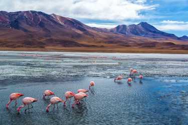 在玻利维亚干涸湖消失。
