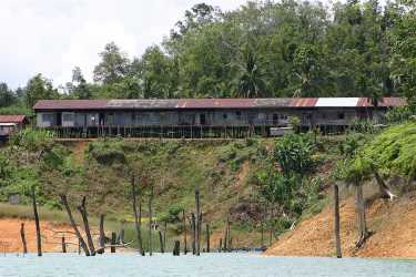 Borneo Longhouse社区Sue木材公司和政府