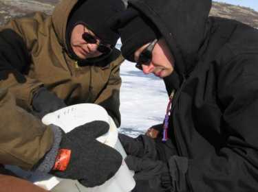 气候变化杀死了维京人在格陵兰岛的定居点