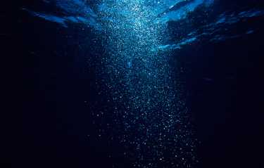 深海的幼虫乘着强大的漩涡