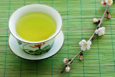 绿灯喝茶的免疫系统的提升