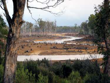 印度尼西亚总统签署了期待已久的森林清理暂停法令