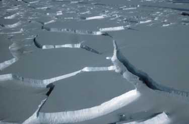 温暖的洋流和南极冰损