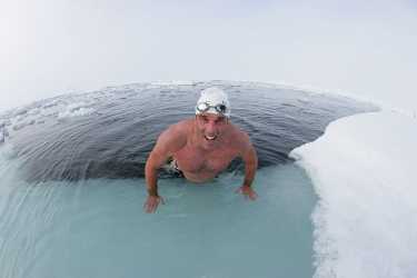 是企鹅还是人类?重要的MPA南极游泳竞标。