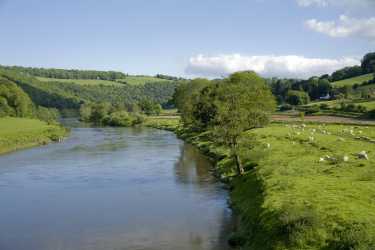 我们的河流活动启动调查来确定最佳英国河流野生动物