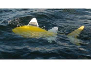 机器人鱼使用arti-fish-ial情报发现污染