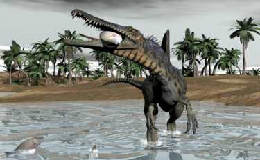 “刺”是超大的掠食性恐龙