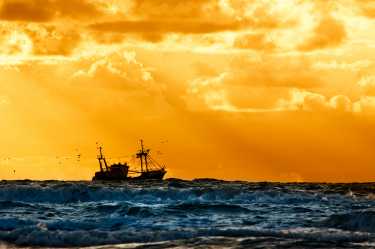 全球努力需要停止深海捕鱼“海盗”