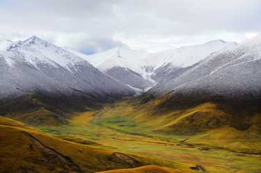 西藏高原烟灰损伤驱动更强的季风