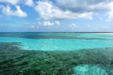 海洋保护区如何影响珊瑚和鱼类的数量