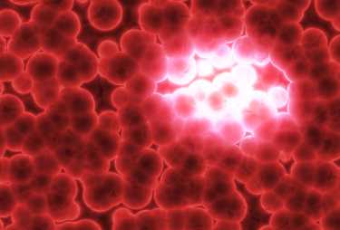 '特洛伊木马'细菌，提供肿瘤杀伤的爆炸来自土壤