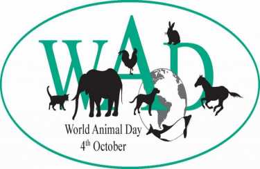 2013年世界动物日