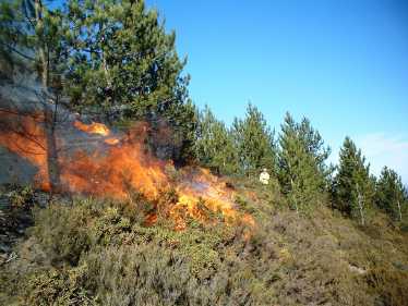 北部森林大火威胁失控的气候变化