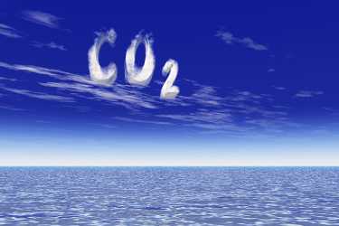 年轻科学家漂浮新的碳捕获计划 - 更新